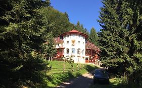 Casa Olga Paraul Rece